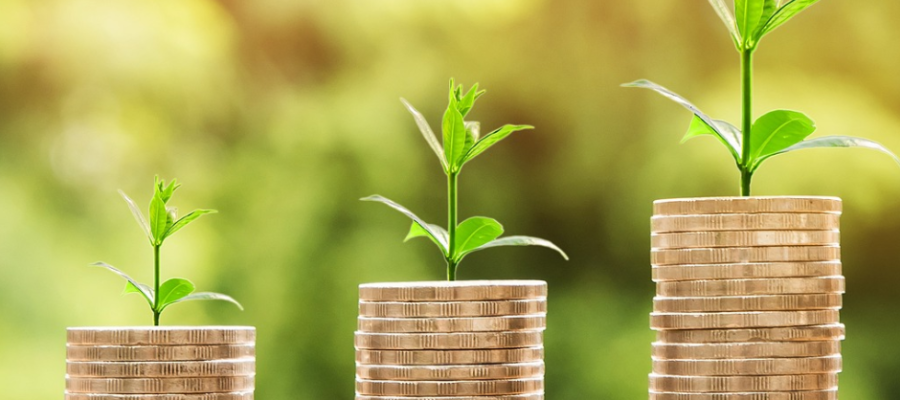 Eliminación de organismos autónomos beneficia la economía