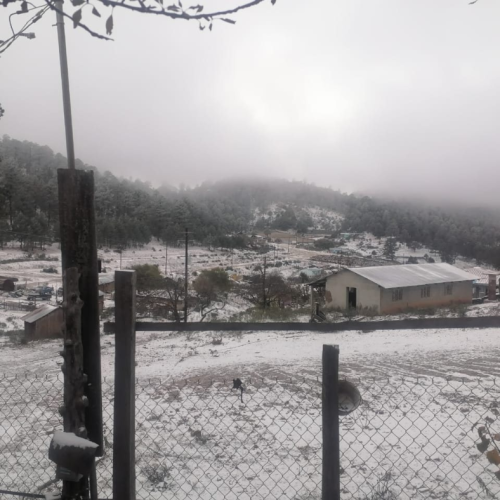 Tormenta invernal pinta de blanco paisajes mexicanos