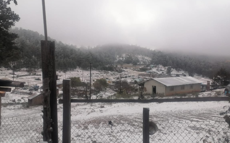 Tormenta invernal pinta de blanco paisajes mexicanos