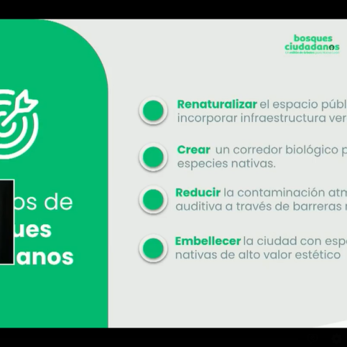 Bosques Ciudadanos transforma las líneas del metro de Nuevo León con 4,500 árboles nativos