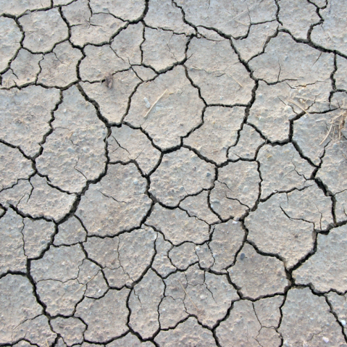 Crisis de abasto de agua en Nuevo León: Pronóstico desalentador
