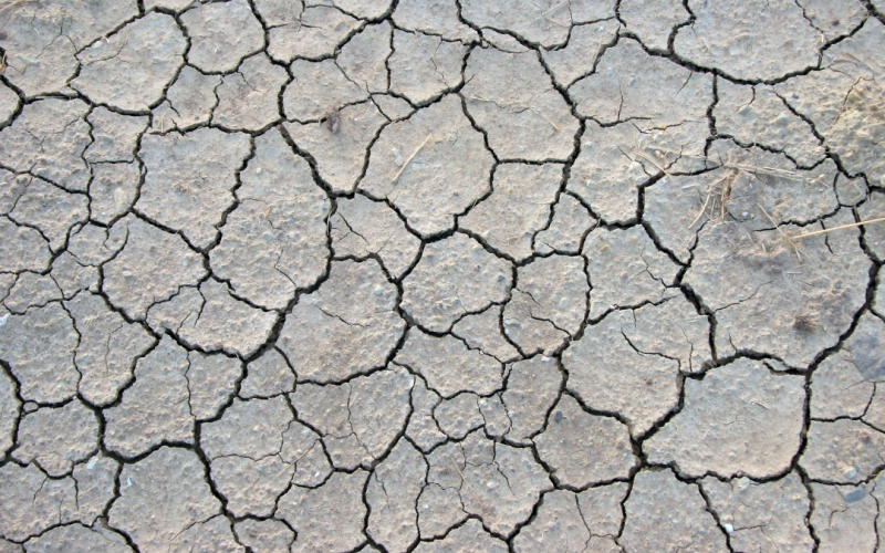 Crisis de abasto de agua en Nuevo León: Pronóstico desalentador