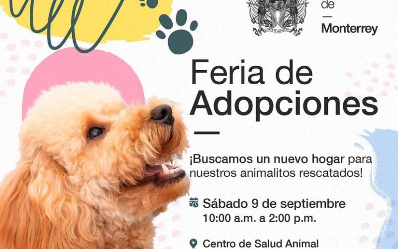 Feria de Adopciones de Mascotas este Sábado en Monterrey