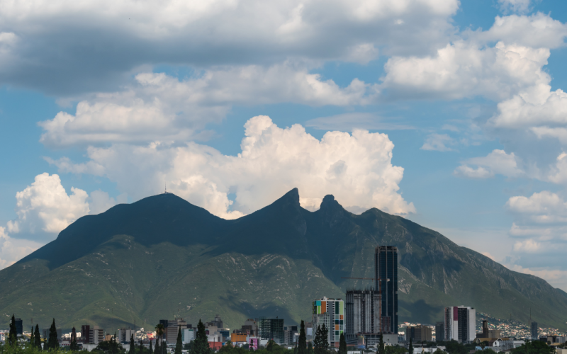 Reviviendo la Alameda Mariano Escobedo: Un plan de acción para restaurar un tesoro urbano