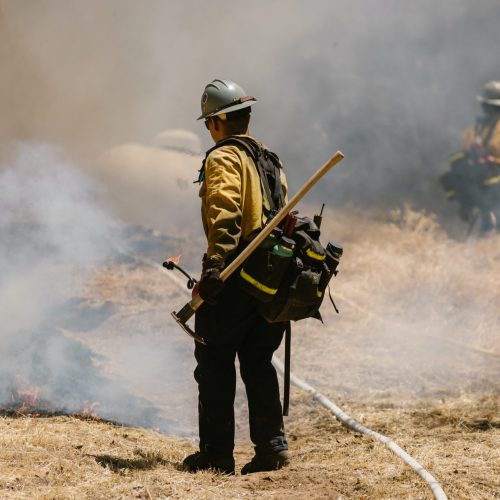 Brigadistas de Nuevo León luchan contra incendio forestal en Sierra de Iturbide