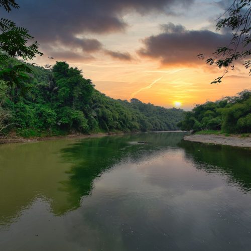 Plan de rescate del Río Pesquería: Compromiso ambiental en Nuevo León